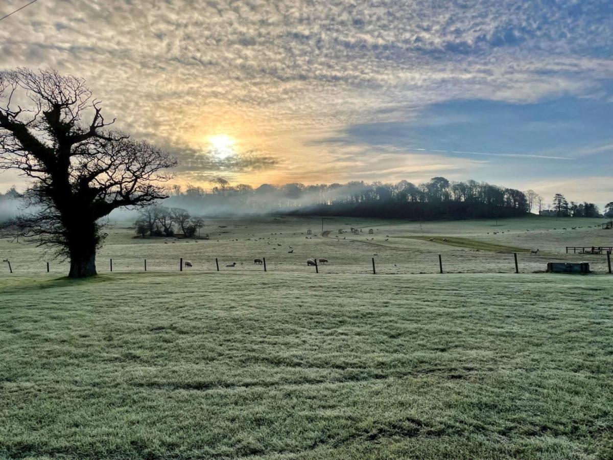 Appartamento Cottars Winfrith Newburgh Esterno foto